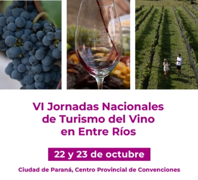 Turismo del Vino